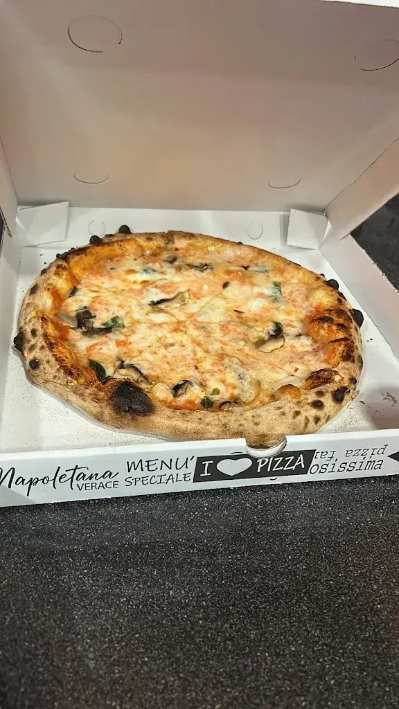 Youfed Rifi_Brother's Monthey_Monthey_review