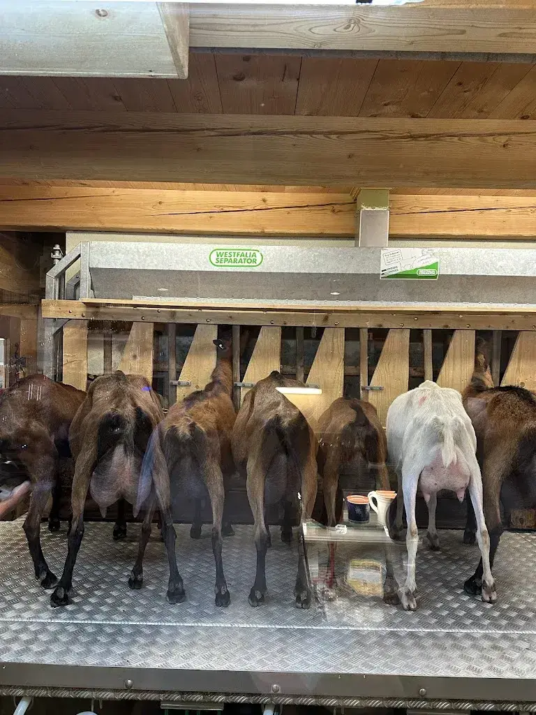 Lauren Jundt_La Ferme à Gaby_Val-d'Illiez_Bewertung