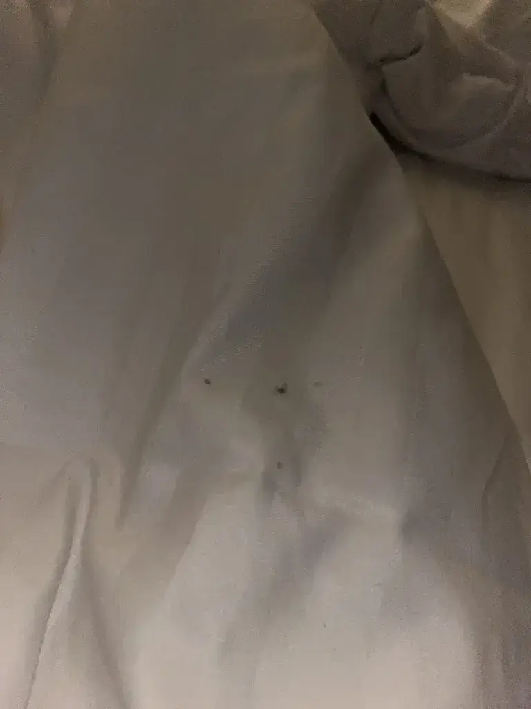 Letizia Rosadini_Champoussin Lodge_Val-d'Illiez_review