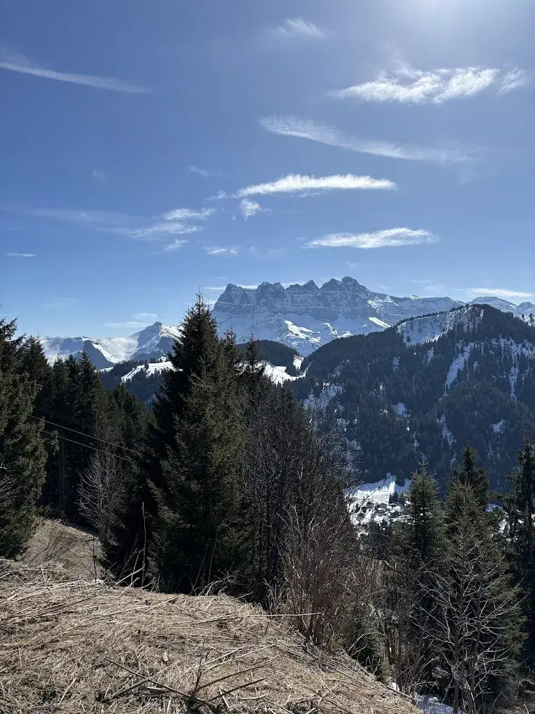 Eriko Piquet_Buvette de corbeau_Troistorrents_review