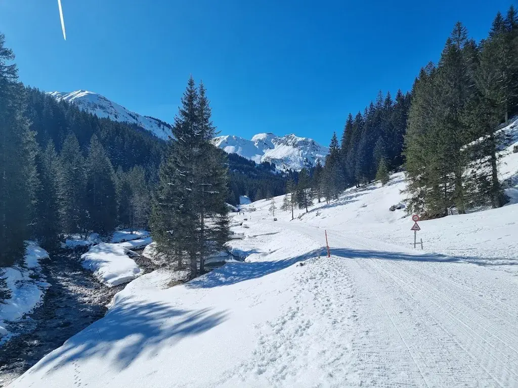 Martin Born_Cantine de They_Morgins_Bewertung