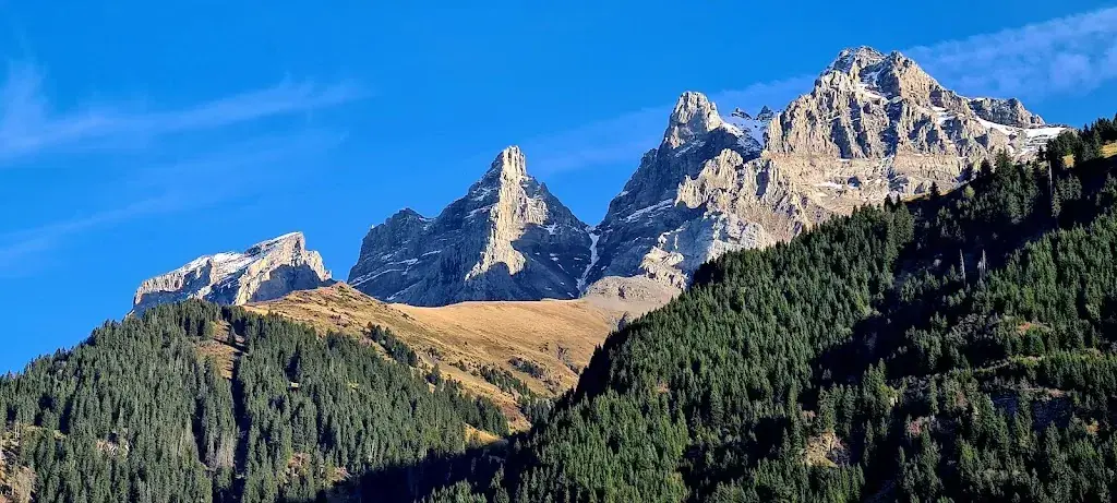 Nik Nik_A'PIC - Bar-Bistrot & Petite Restauration_Champéry_review