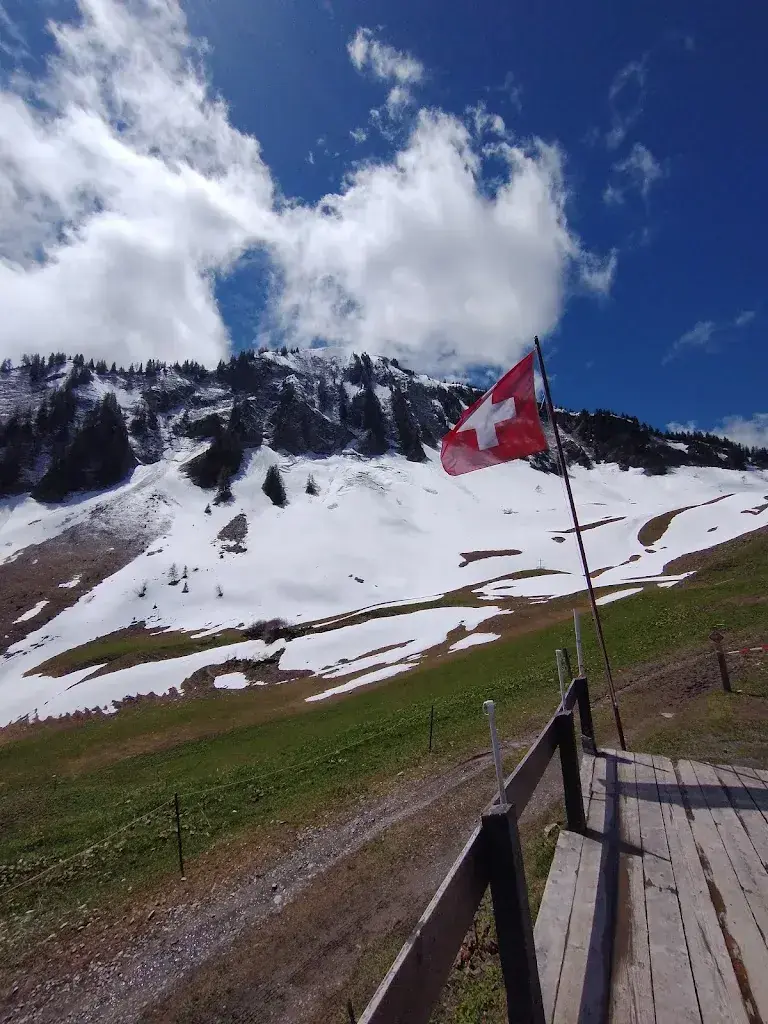 Benjamin Andres Acevedo_La Bourri_Torgon_review