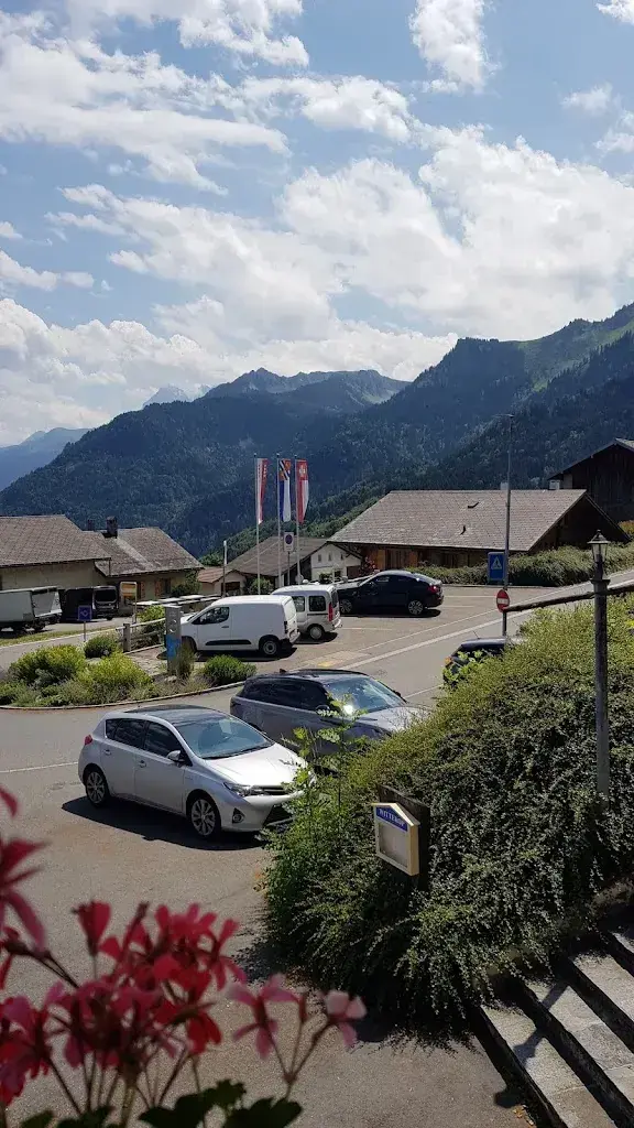 The Contract Lawyer_Hôtel de Torgon_Torgon_review