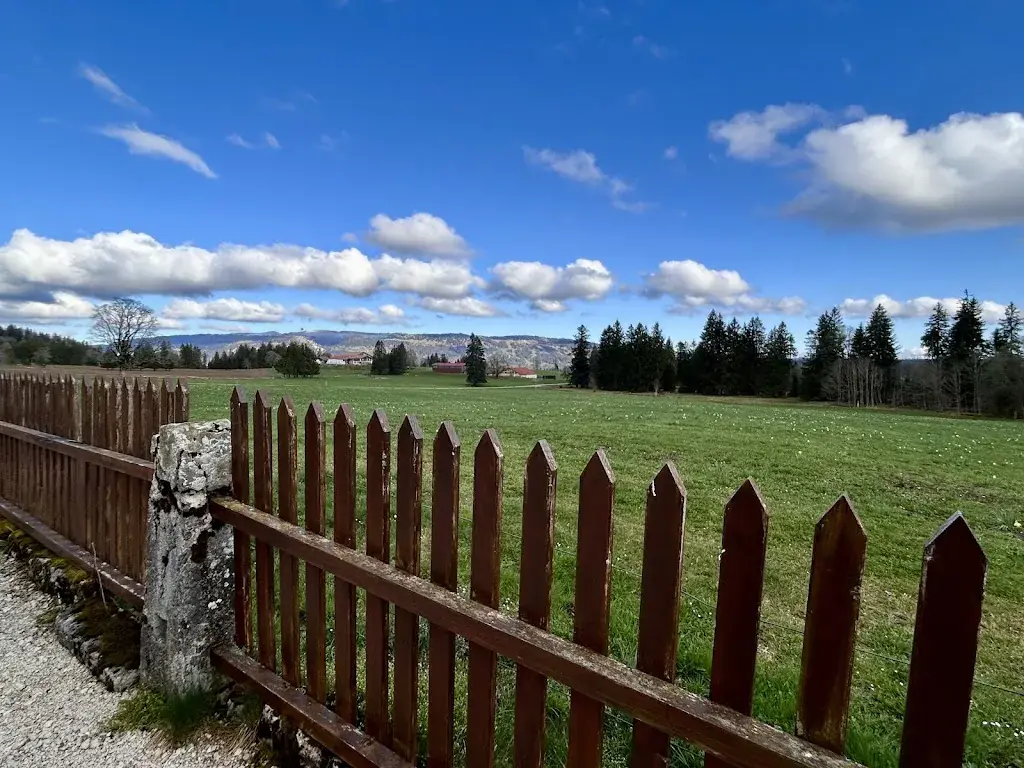 Vasee Moorthy_Auberge L'Assesseur_Mont-Soleil_review