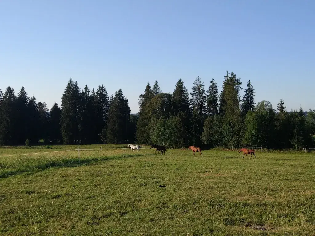 Baris Ciftci_Auberge L'Assesseur_Mont-Soleil_review