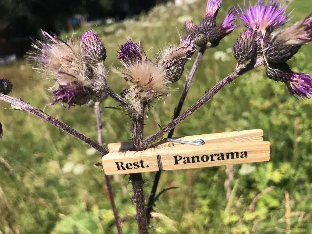 Peter Fischli_Restaurant Panorama_Bürchen_Bewertung
