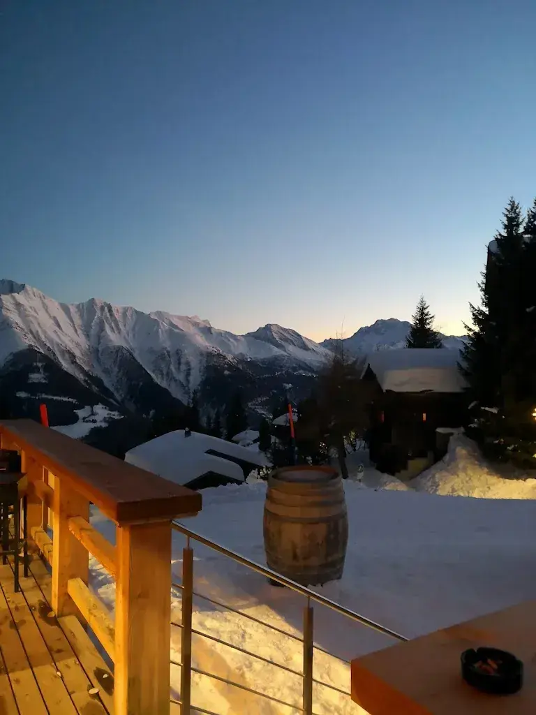 Thomas Buschor_VIVA-Bar_Riederalp_review