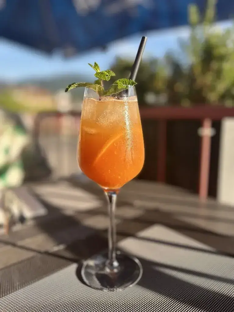 Luc Pidoux_Le Châtel Sàrl_Châtel-Saint-Denis_reseña