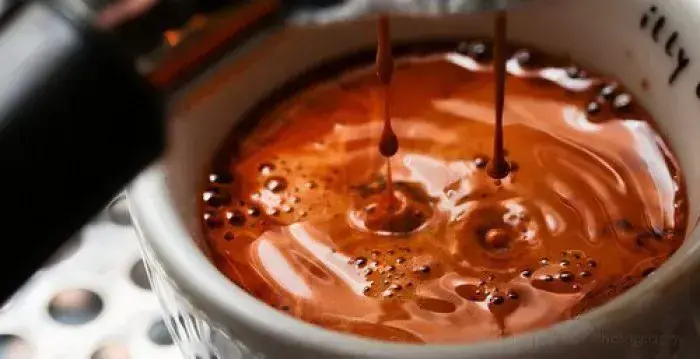 Menü_Café des Alpes_Salvan_Bild_9