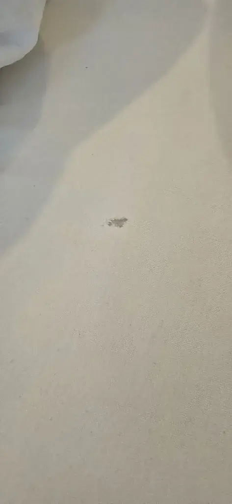 Rocio T E_Hôtel de la Dent-du-Midi_Saint-Maurice_Bewertung