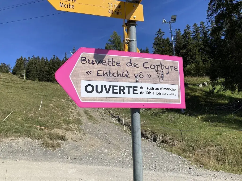 Paul Gay-Crosier_Alpage de Corbyre_Crans-Montana_review