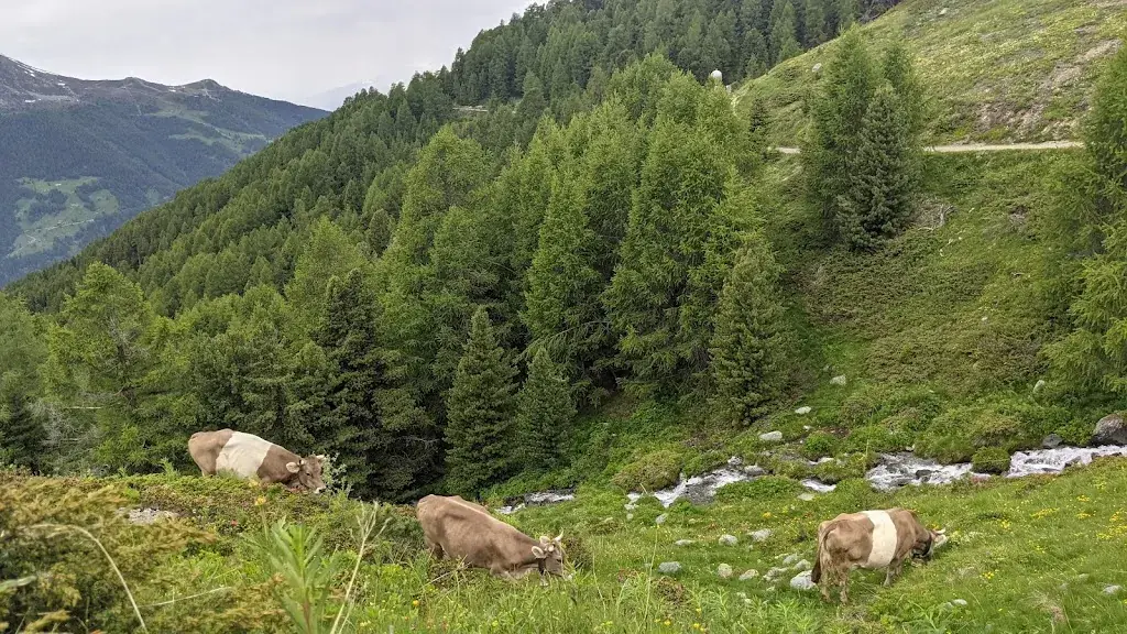 Ski Monsters_Restaurant Tignousa_Saint-Luc_review