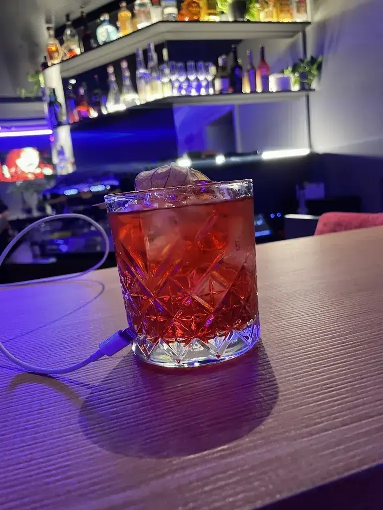 Samantha van de Ven_Fux Cocktails & Soul Food_Visp_review