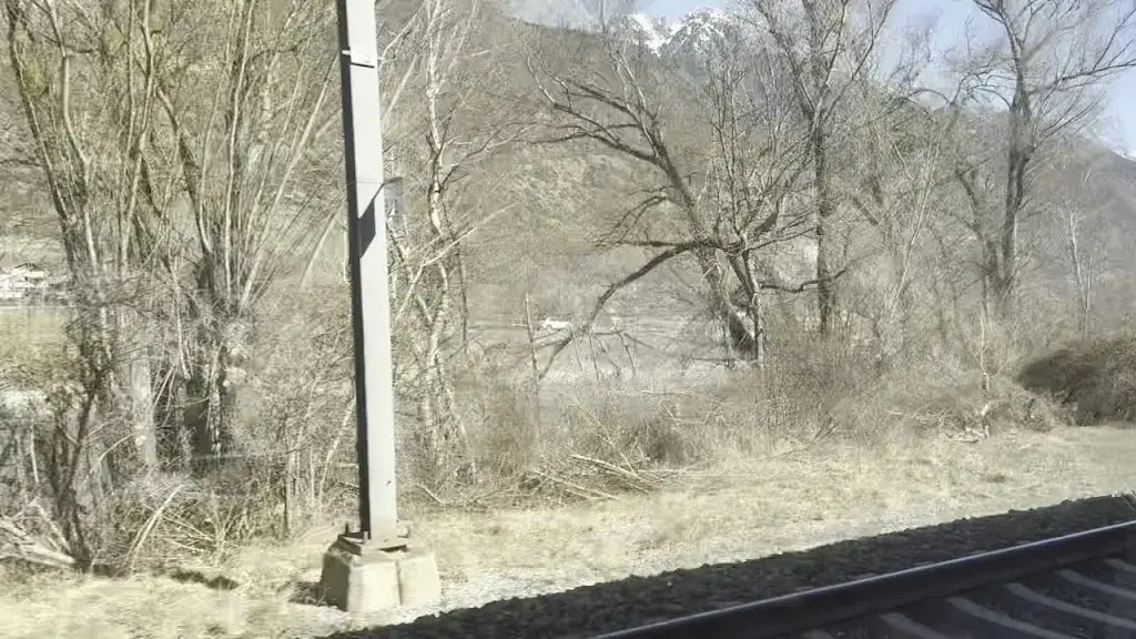 Chris Moran_Zenhäusern Visp Bahnhof_Visp_review