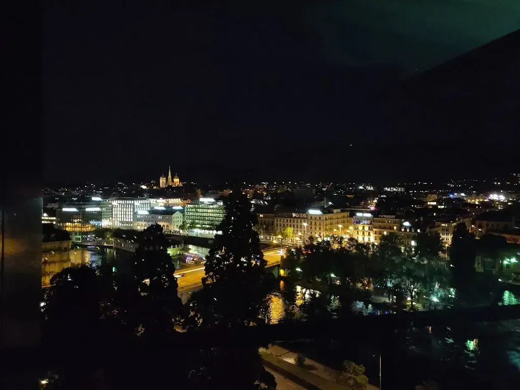 Vytautas Masiokas_Restaurant Cercle du Rhône_Genève_review