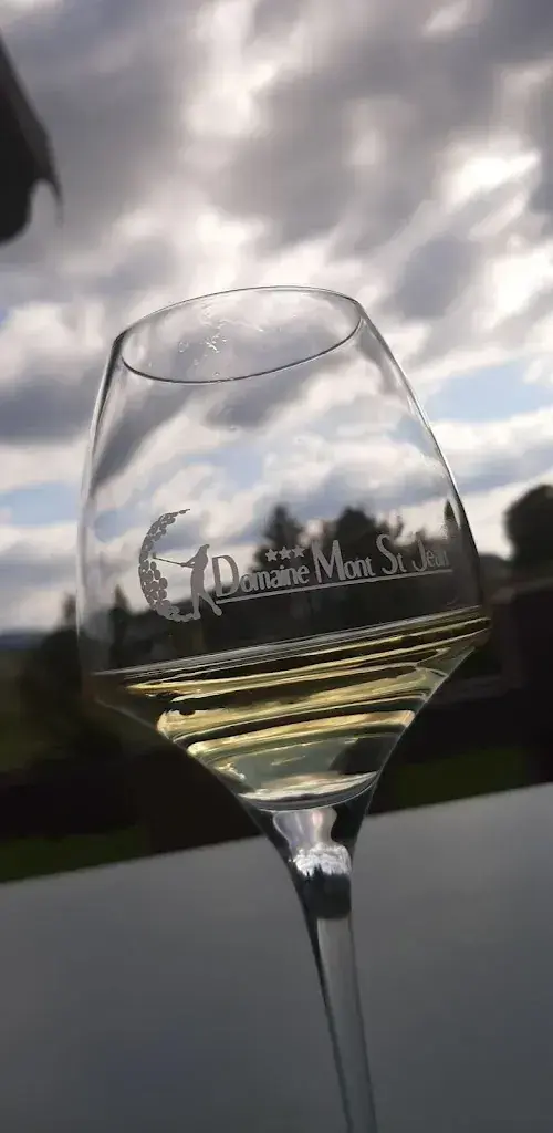 Menu_Restaurant du Domaine du Mont-Saint-Jean_France_immagine_8