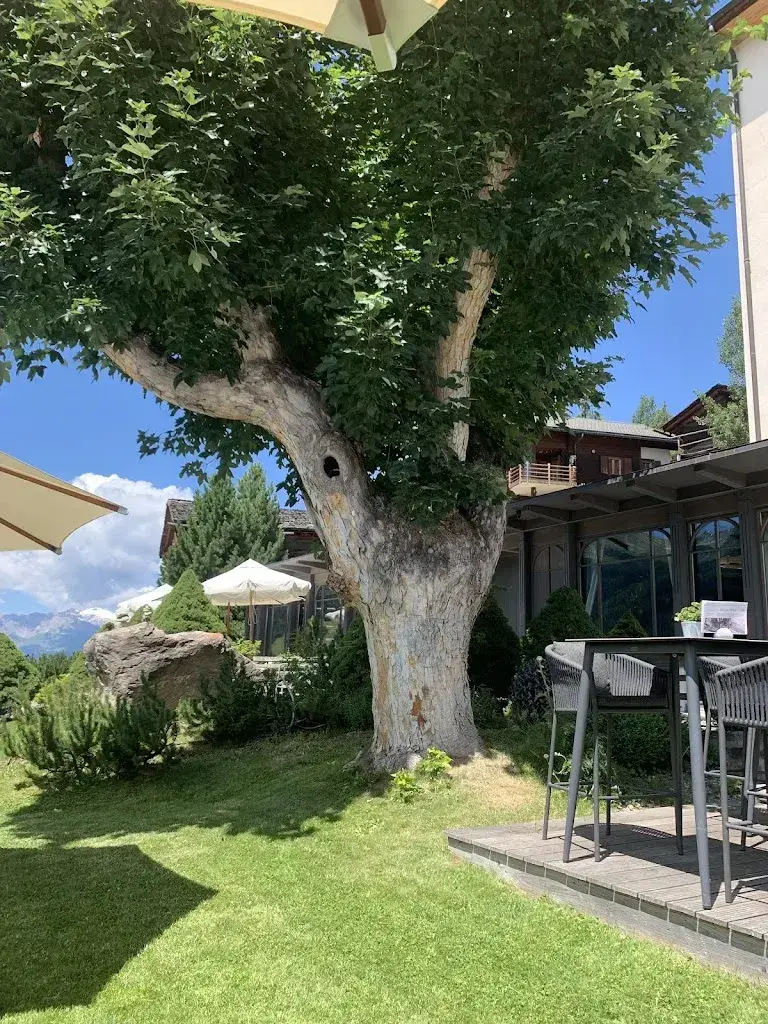 PaoS_Restaurant Chez Ida_Saint-Luc_review