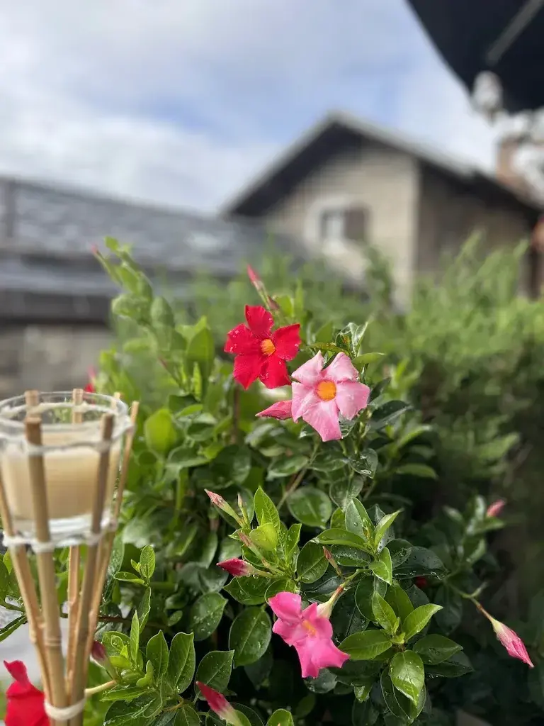 Modia Batterjee_Café du Center_Venthône_recensione