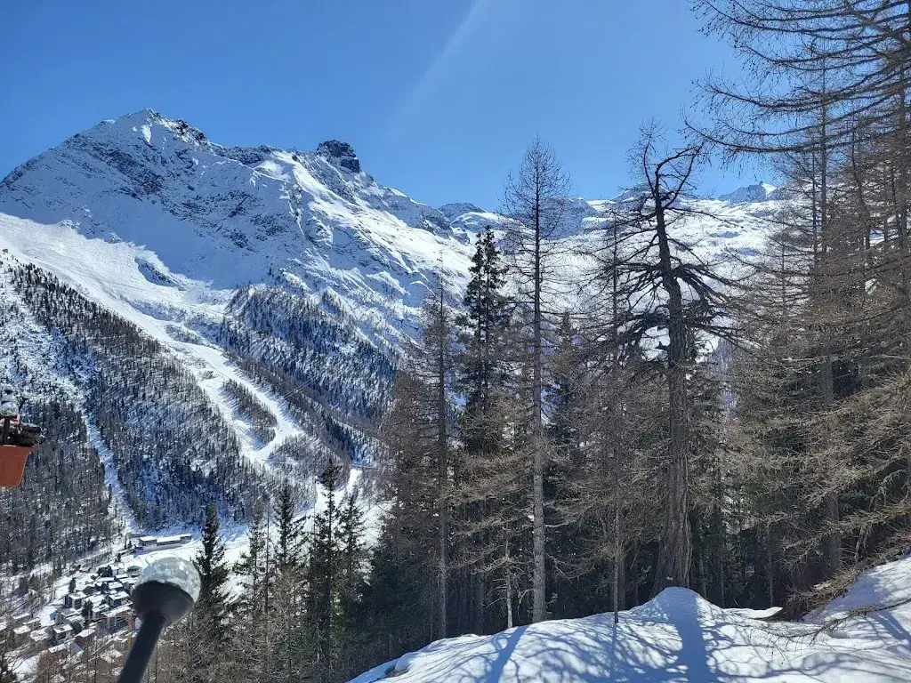 Deborah D_Restaurant Alpenblick_Saas-Fee_review