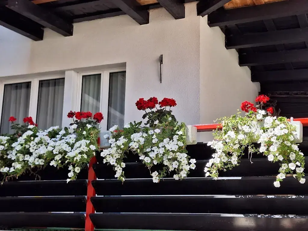 Priscilla B K.F._Hotel Restaurant Mattmarkblick_Saas-Almagell_review