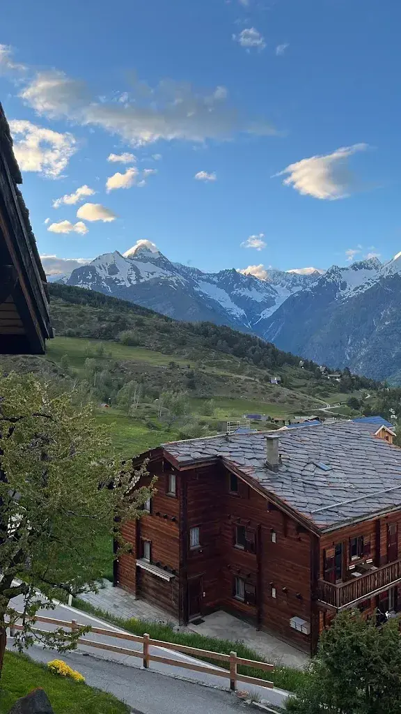 Li Lu_Hotel Restaurant Alpenblick_Zeneggen_review