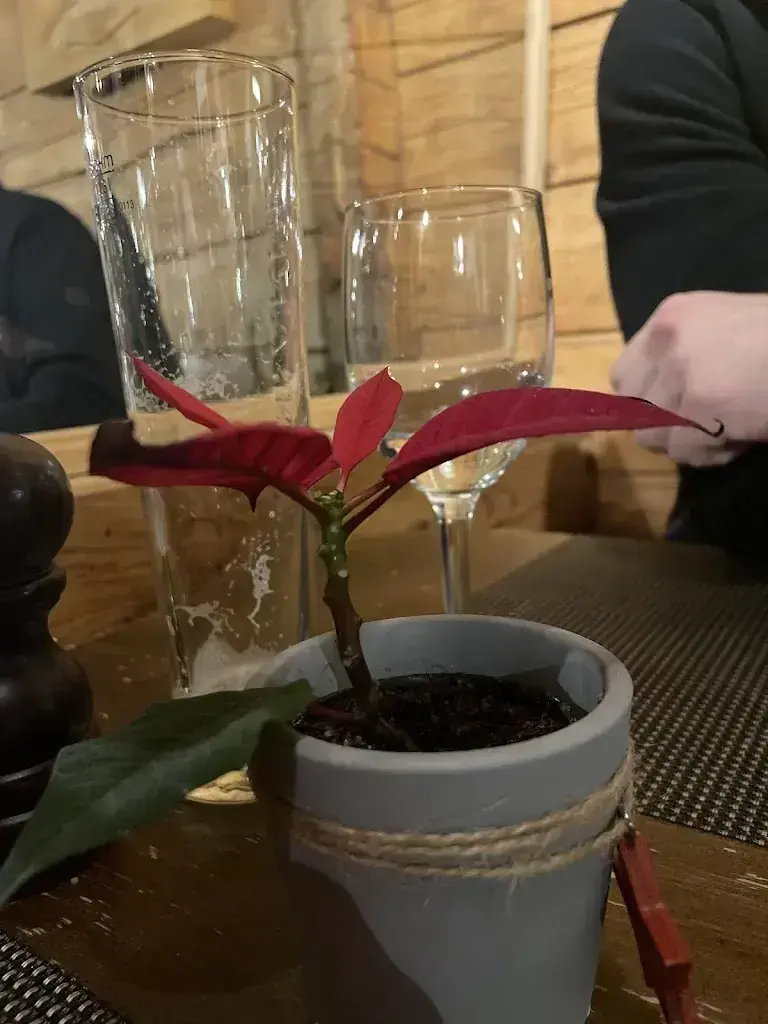 Ronja_Restaurant Täscherhof_Täsch_review