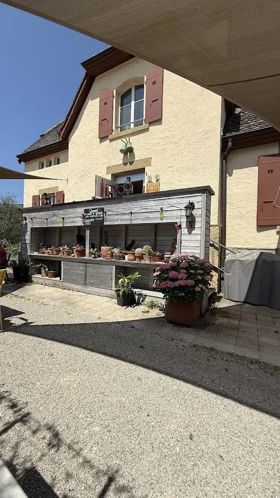 Gregor Maranta_Restaurant du Pervou_Boudry_review