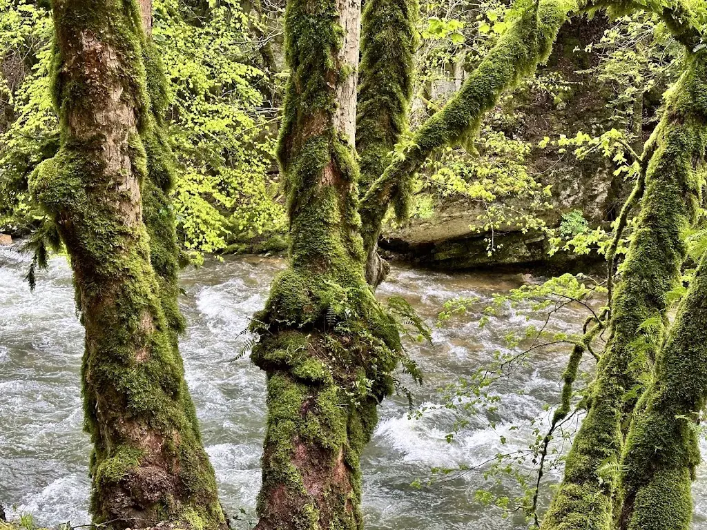 Kamil NOWAK_Gorges de l'Areuse_Boudry_recensione