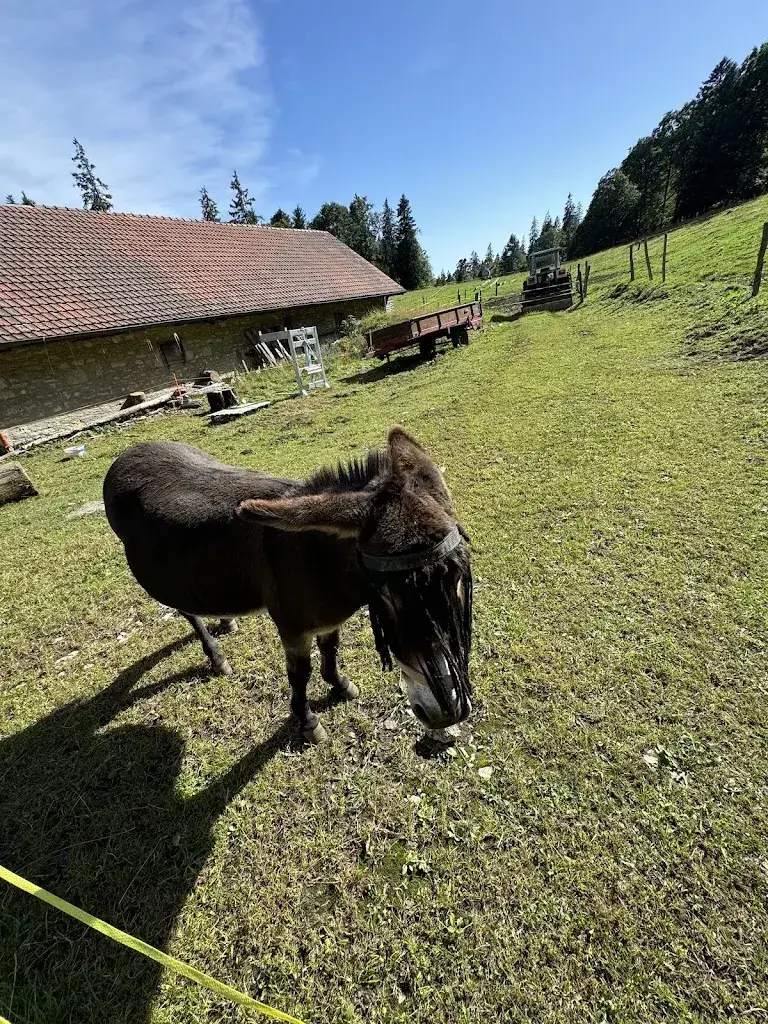 Myriam Bachmann_Fruitière de Bevaix_Bevaix_review