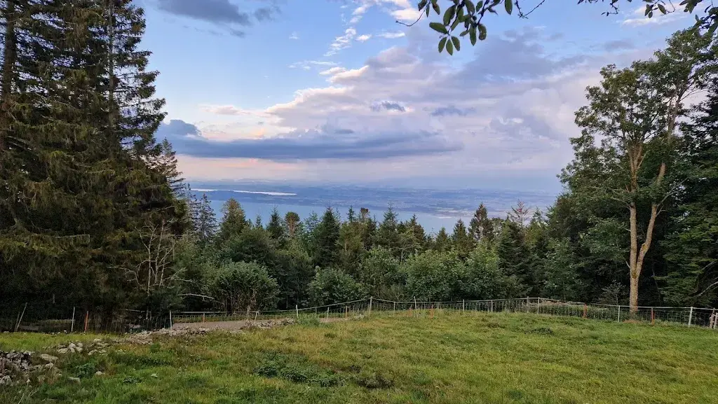 Thomas Gravois_Fruitière de Bevaix_Bevaix_review