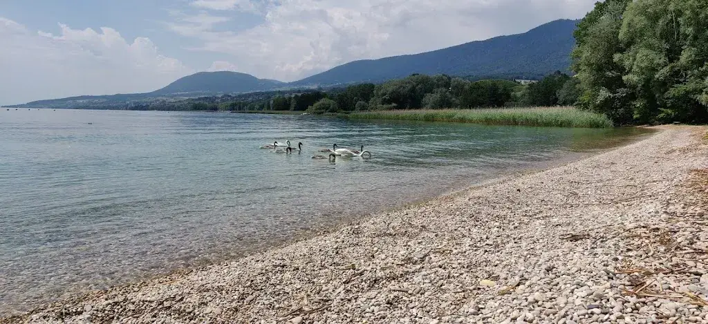 Gilles Curchod_Pointe du Grain_Bevaix_review