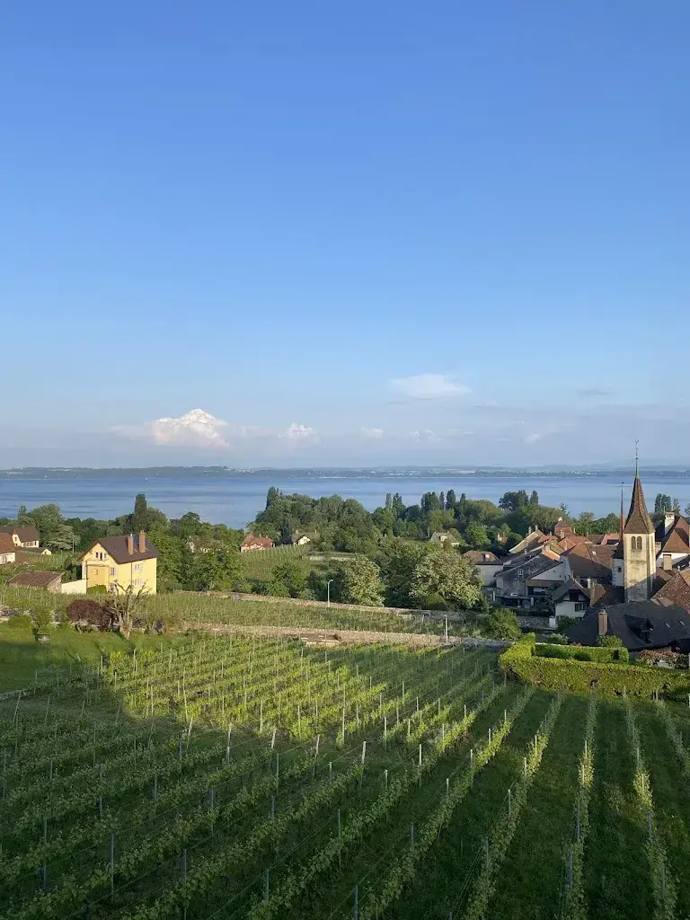 Aly_Auberge du Siam_Milvignes_review