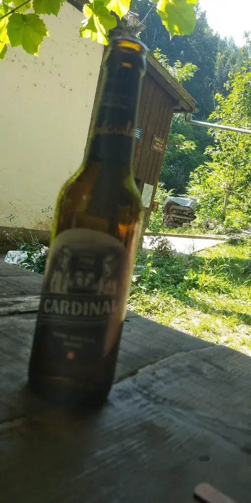 Maxime Rauhut_Relais du Châtelot, Société coopérative_Les Planchettes_review