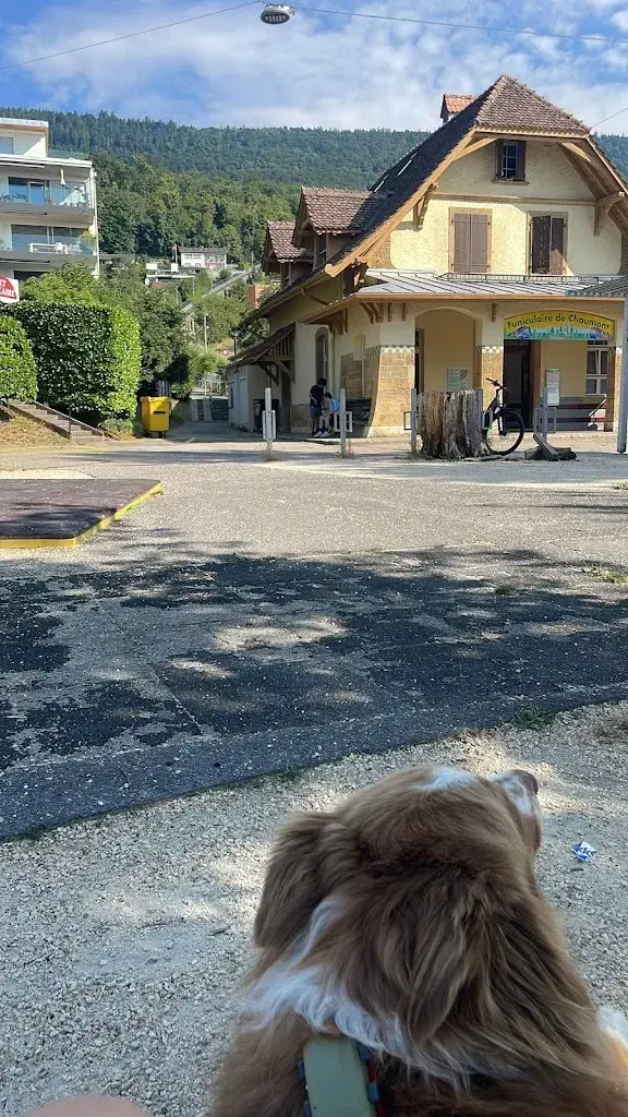 Sandra Mivelle_Chaumont_Neuchâtel_review