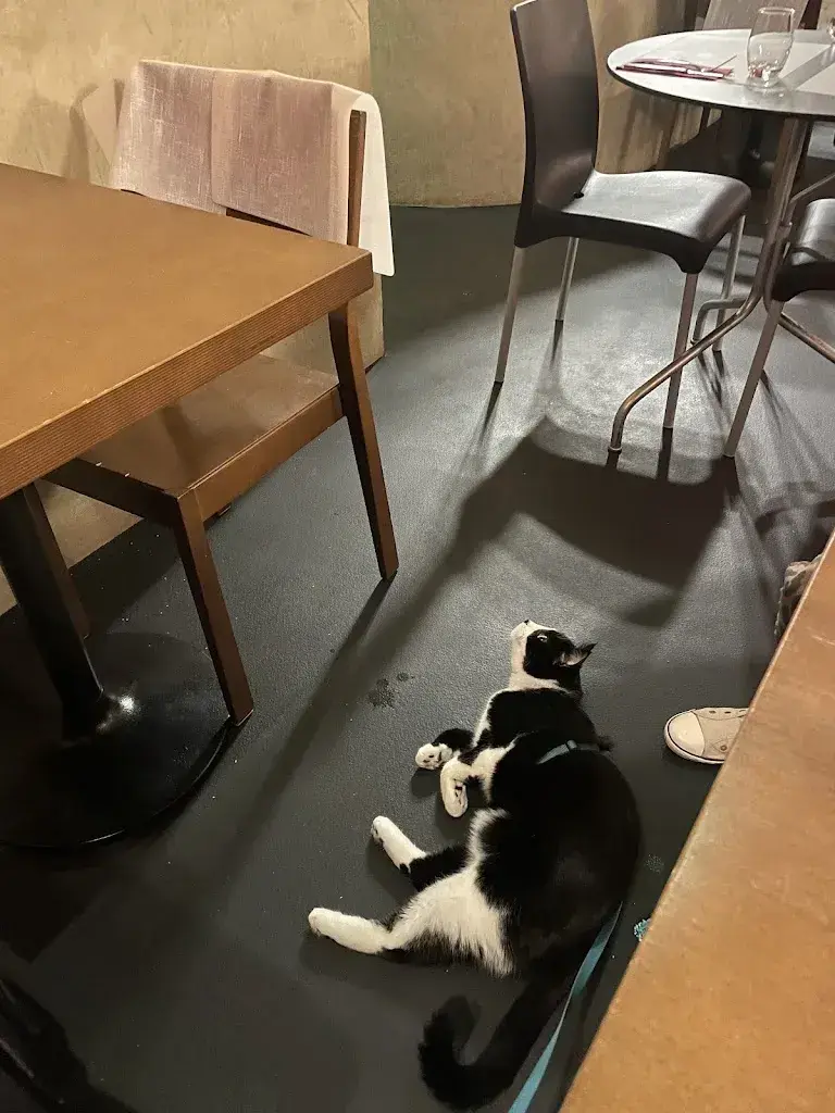 Valerie Roy_Café de la Collégiale_Neuchâtel_recensione