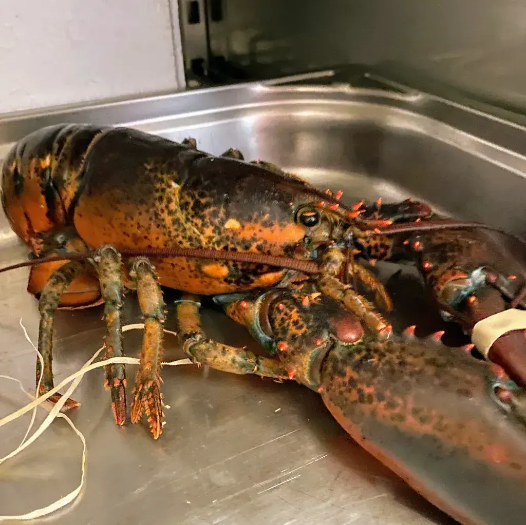 Menu_Restaurant Pizzeria de l'Union Fontainemelon_Fontainemelon_immagine_6