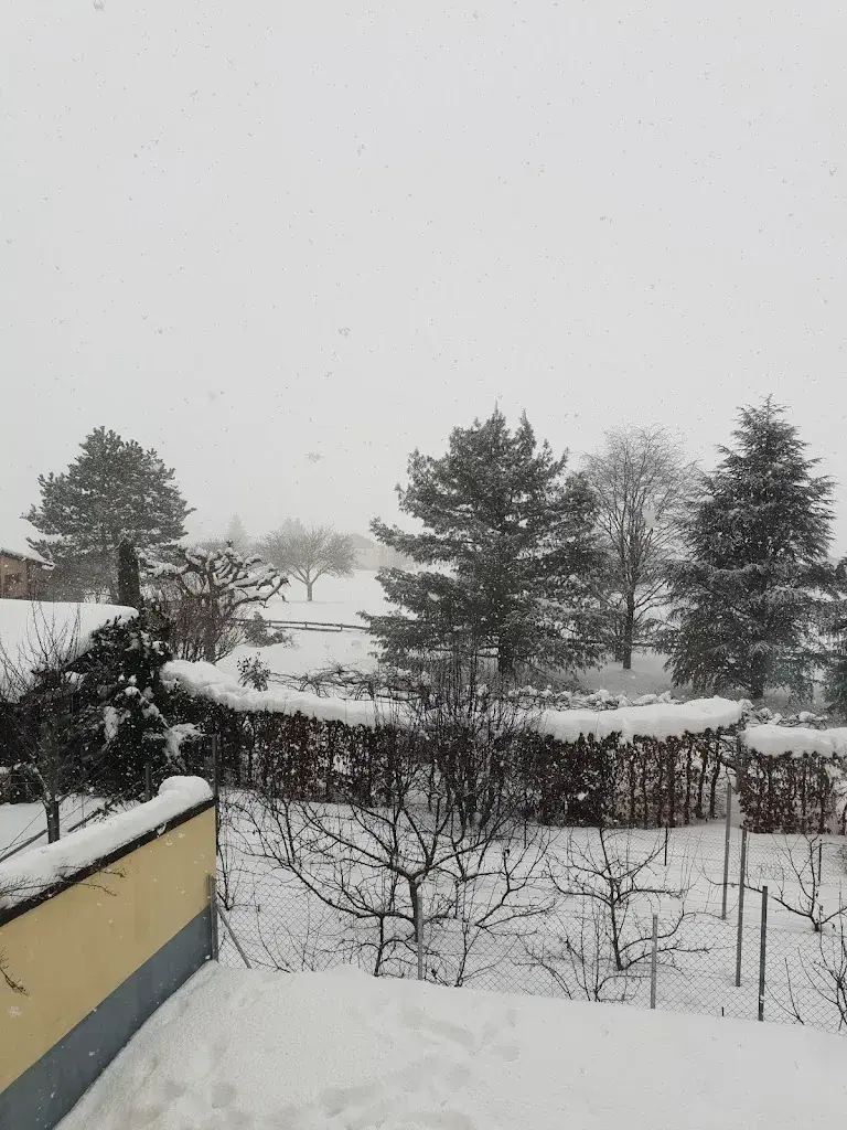 gloria vargas_Restaurant le 1er mars_Cernier_review