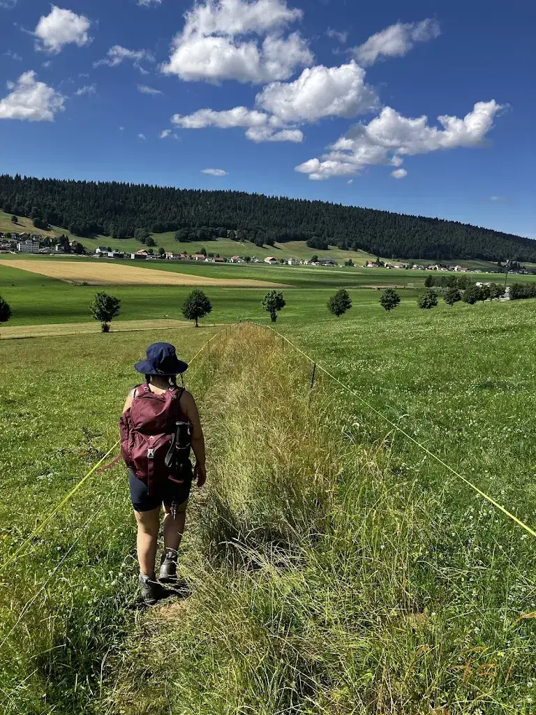 Olivier Pinpin_Loge des Pradières-dessus (AMR)_Les Geneveys-sur-Coffrane_reseña