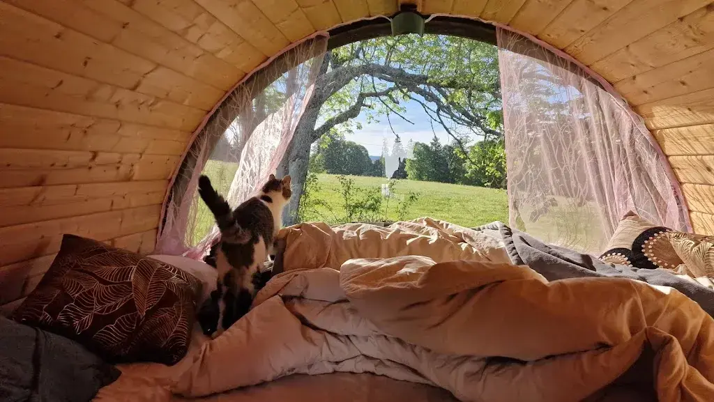 Saglio Yves_Hôtel Restaurant les Cernets Swiss-Lodge SSH_Les Verrières_recensione