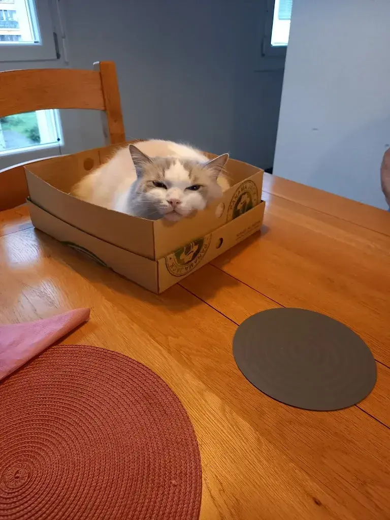 Danielle Forny-Bodin_Le Cercle des Bayards_Les Bayards_avis