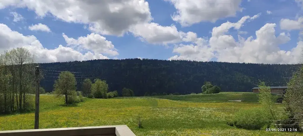 Ganon Auditore_Le Cercle des Bayards_Les Bayards_avis