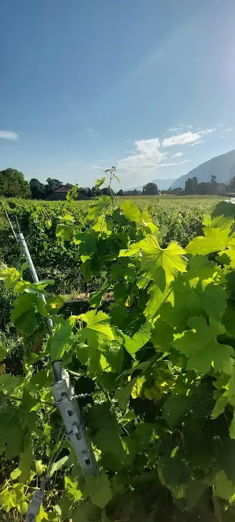 Barefoot Centipede_Auberge de Landecy_Croix-de-Rozon_review