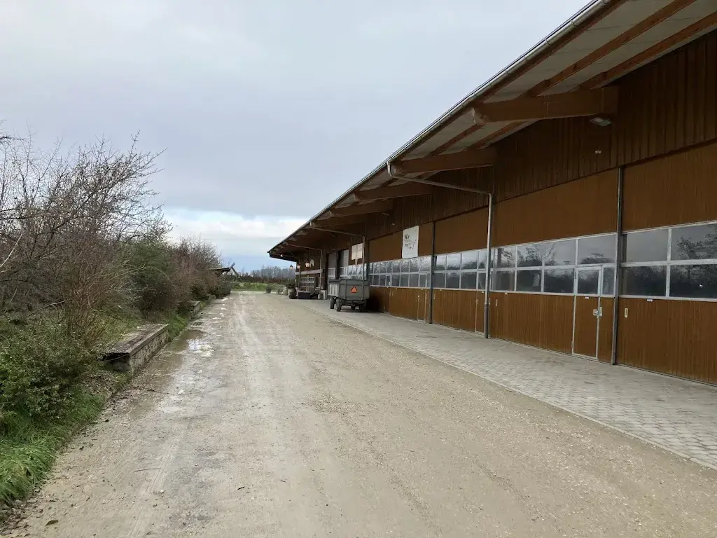 Jerome G_Brasserie du Père Jakob_Soral_review