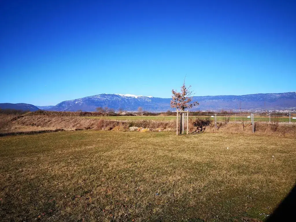 Paris Roman _Brasserie La Source_Soral_avis