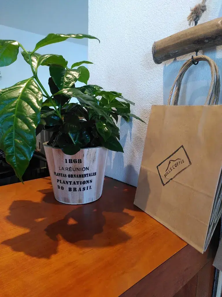 Laetitia Charles_Hills Coffee - Tea Room de Cressy_Confignon_review