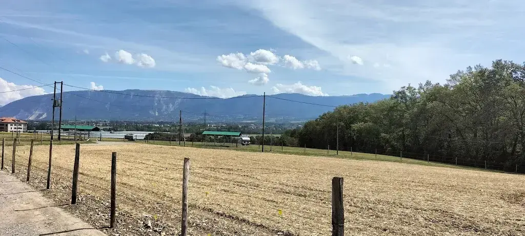 Szilvia Kiss_Le Coeur Gourmand_Laconnex_review