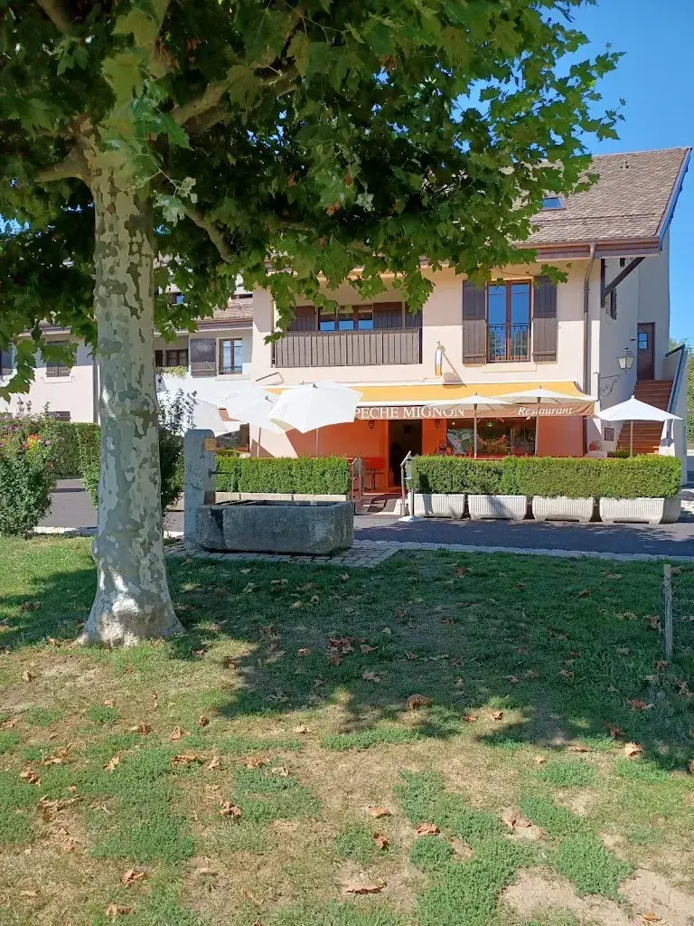 Fred Dj_Le Péché Mignon Sàrl_Choulex_review