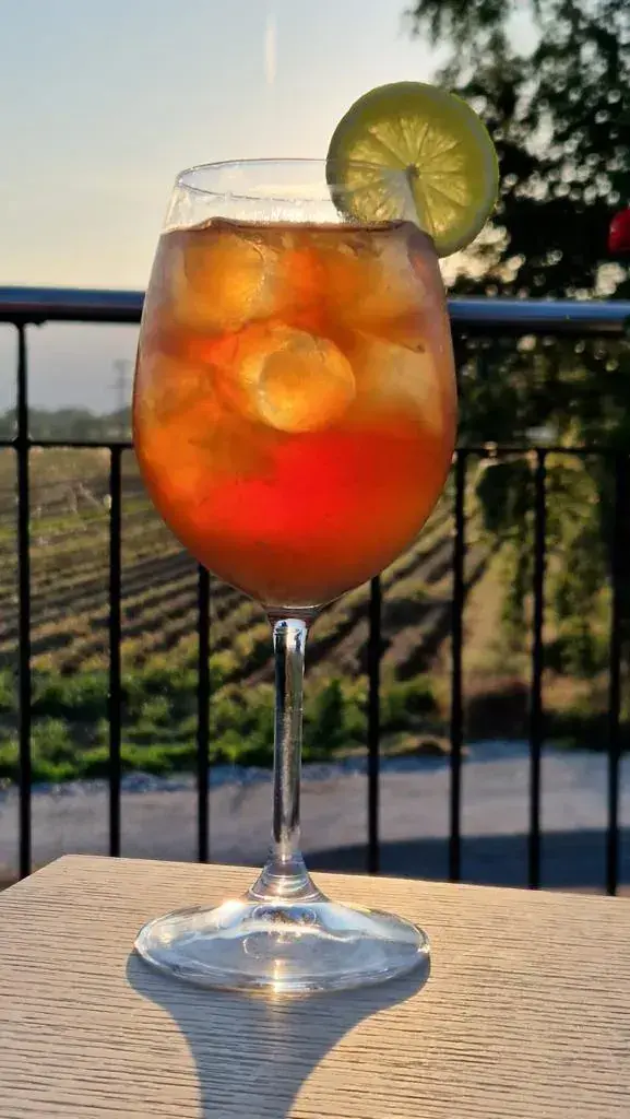 Menu_Buvette Stade Marc Burdet_Collex-Bossy_immagine_8