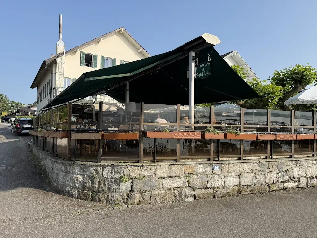 Nasser Akeel_Le Petit Lac_Corsier_avis